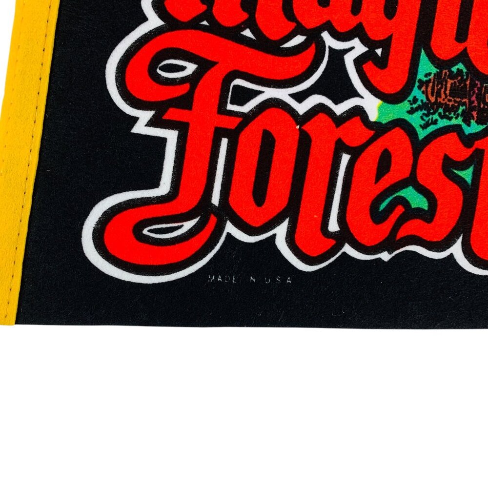 Vintage Magic Forest Amusement Park Lake George NY Black Pennant | 2 LEFT! - Picture 5 of 9
